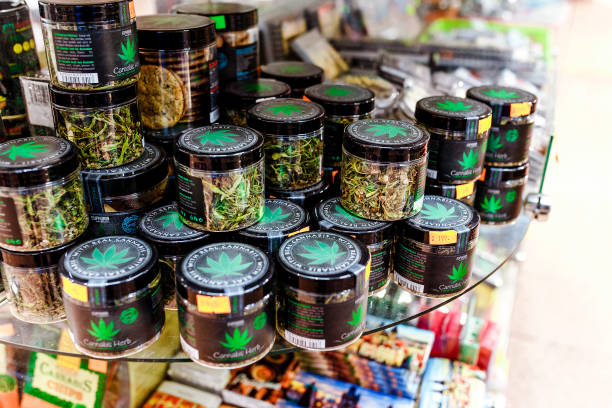 Notícias sobre Cannabis Medicinal e muito mais