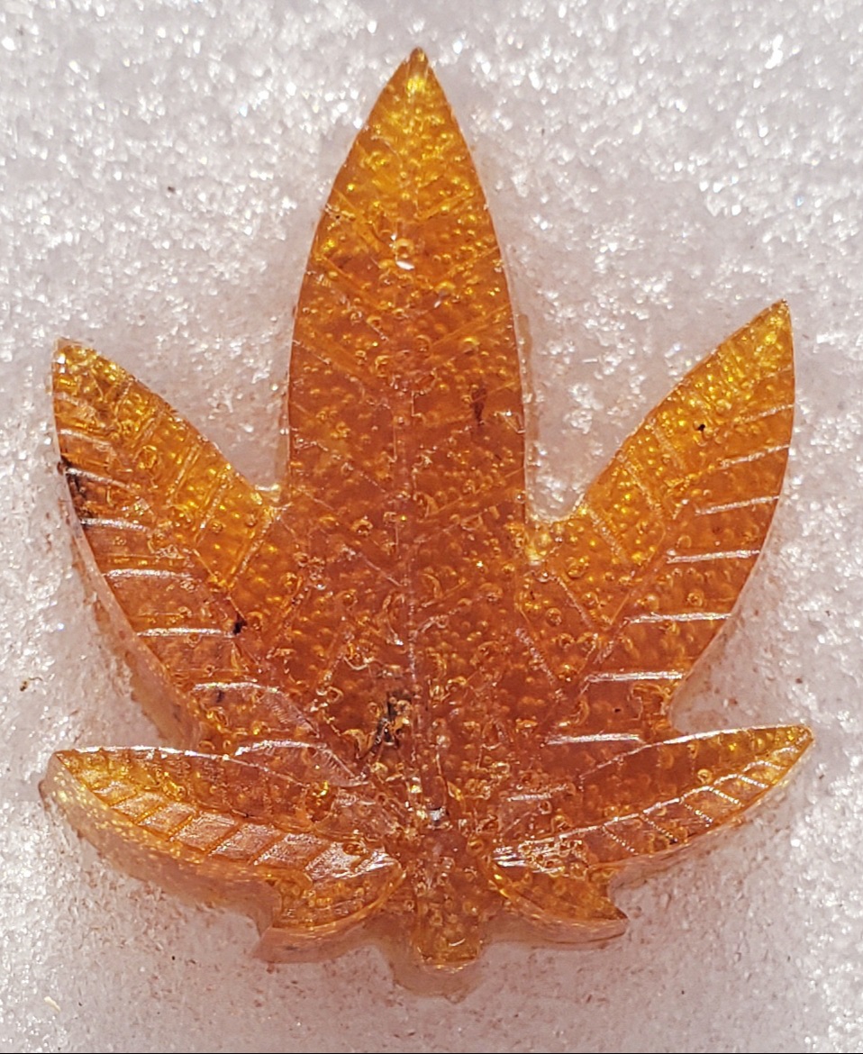 Notícias sobre Cannabis Medicinal e muito mais