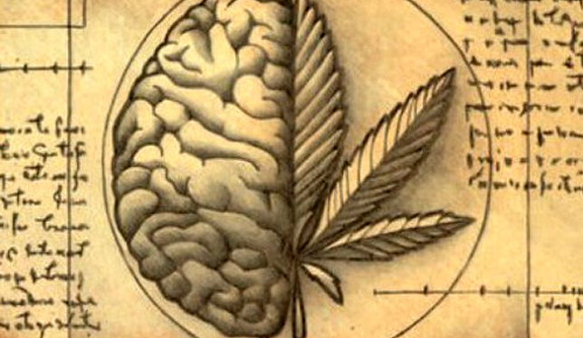 Alzheimer: como a cannabis pode auxiliar no tratamento