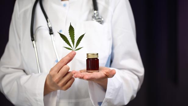 Cannabis Medicinal: Como essa planta pode ajudar no tratamento de doenças?