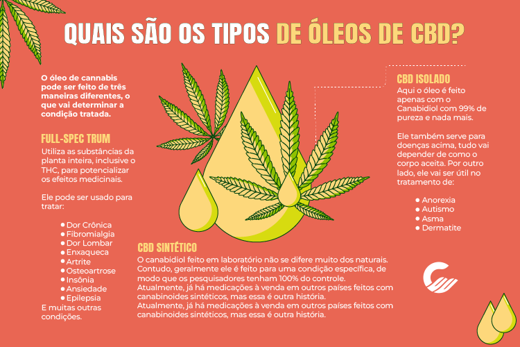 Canabidiol (CBD): O que é, Benefícios e Como Usar