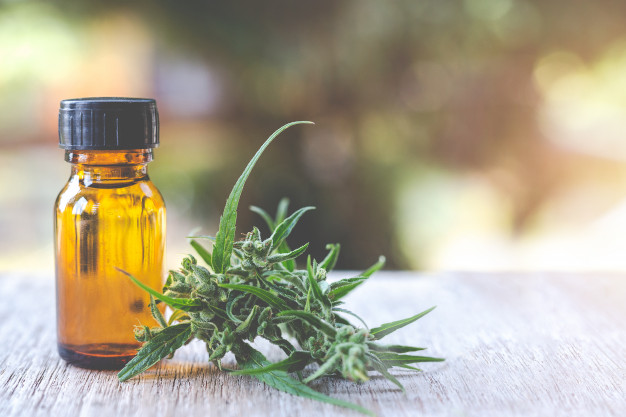  Óleo de CBD: 12 coisas que você precisa saber sobre o óleo de cannabis