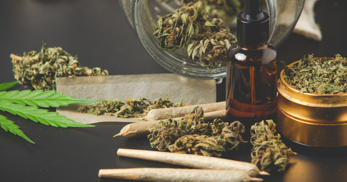 Tudo Sobre Maconha: o que é, quais os tipos e legislação