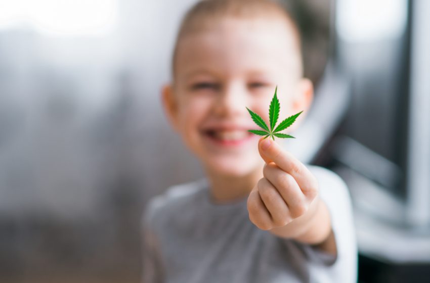 Convulsão infantil: riscos e benefícios no uso de cannabis