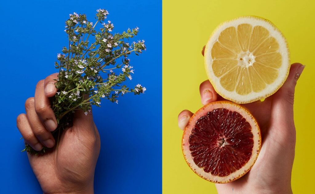 Terpenos de Cannabis: Aromas, sabores e efeitos na cannabis