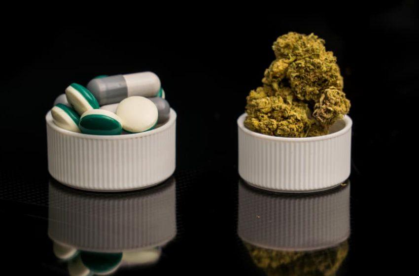 Cannabis pode reduzir o uso ilícito de opioides?