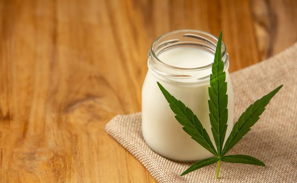 Cânhamo: usos medicinais, alimentícios e industriais