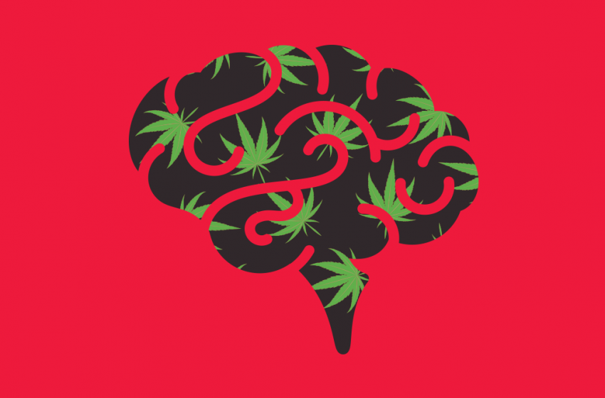A ação da maconha no cérebro