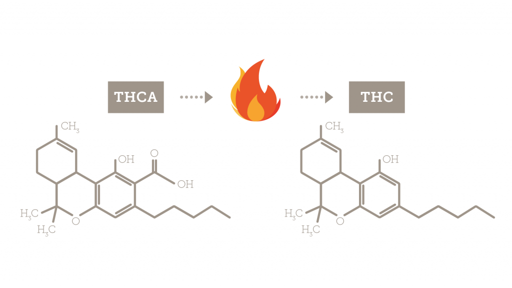 Article_3_Figure_1THCA_THC_decarb-1024x577.png