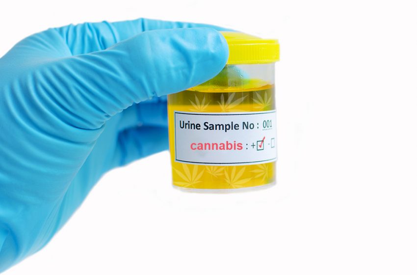 Nova Iorque proíbe testes de cannabis durante contratações