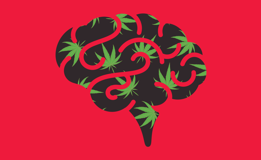 Maconha mata neurônios? A ação da planta no cérebro