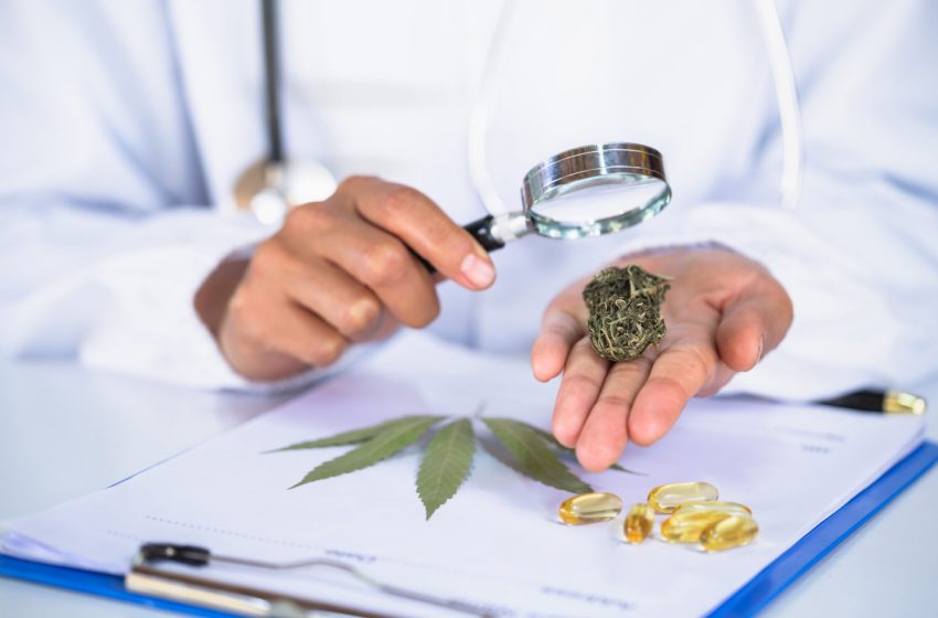 Filadélfia incia um estudo sobre os benefícios da cannabis