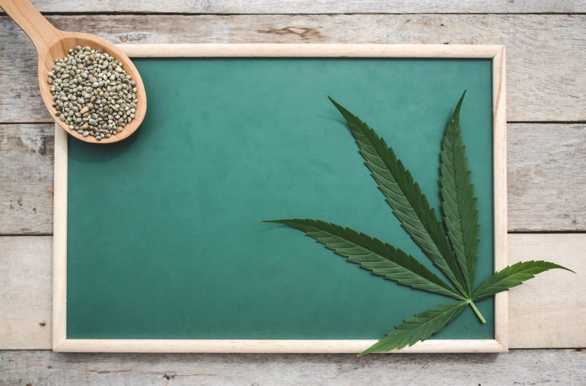 Unifesp abre 6 mil vagas para curso gratuito sobre cannabis medicinal