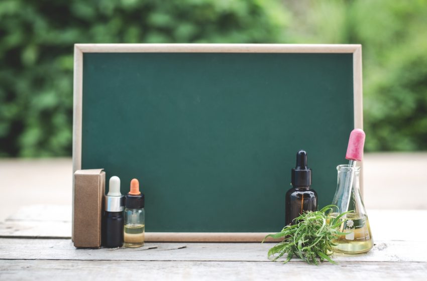 Curso gratuito sobre cannabis medicinal já ajudou mais de 4 mil pessoas e está com inscrições abertas