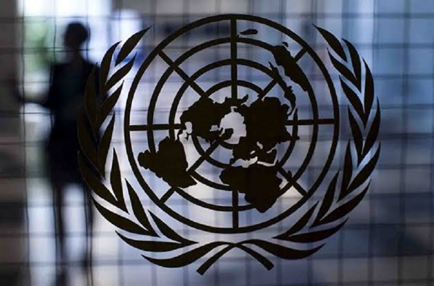  ONU irá discutir proibições da OMS sobre a cannabis medicinal ainda este mês