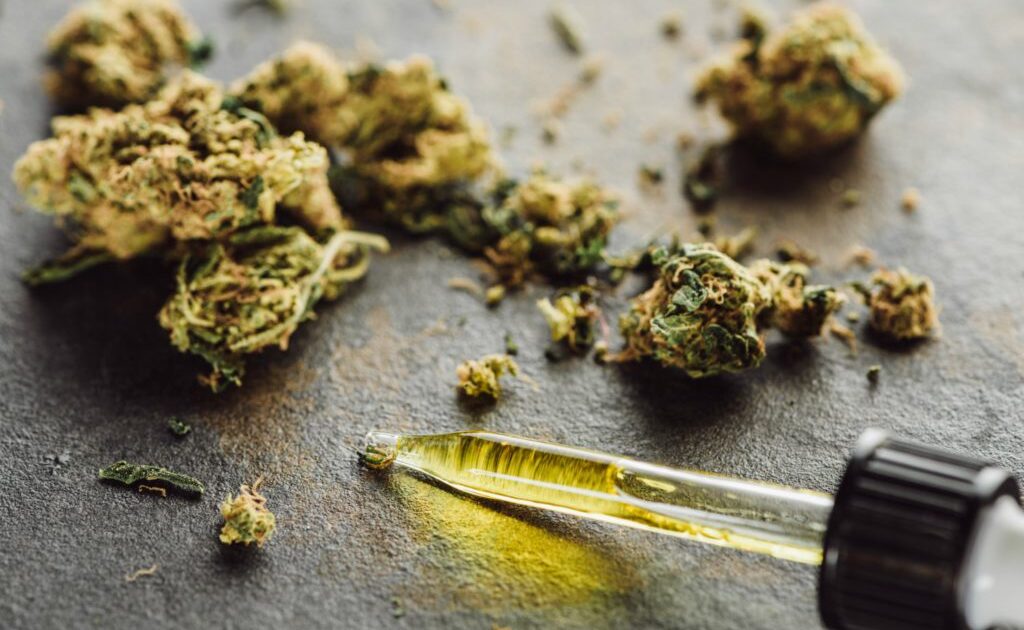 Óleo CBD full-spectrum: produção e tipos de extração