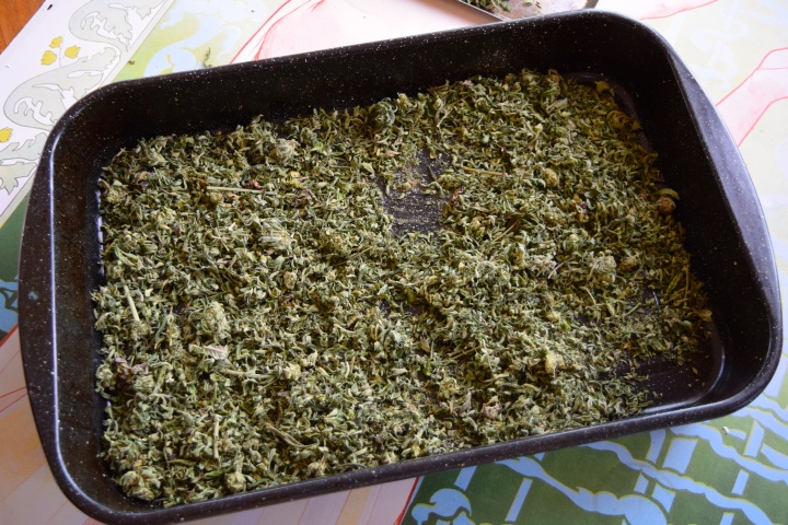 Descarboxilação da cannabis: o que é?