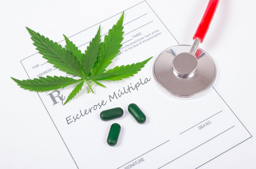 Cannabis medicinal no tratamento de esclerose múltipla