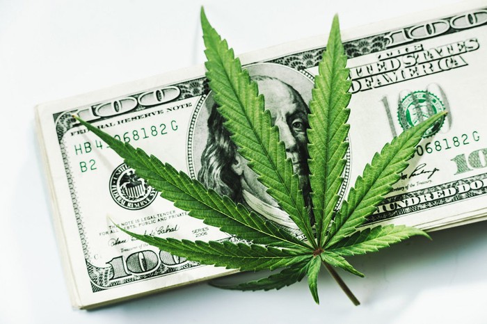  Mercado da Cannabis cresce exponencialmente e a tendência é aumentar cada vez mais 
