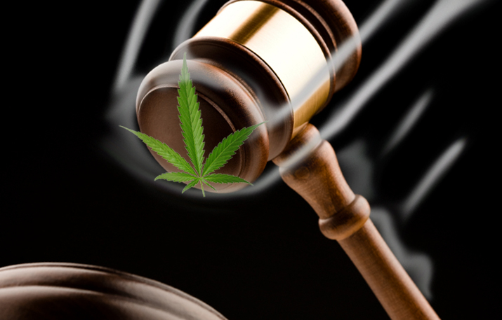  95ª Habeas Corpus para plantar cannabis medicinal é aprovado no Brasil