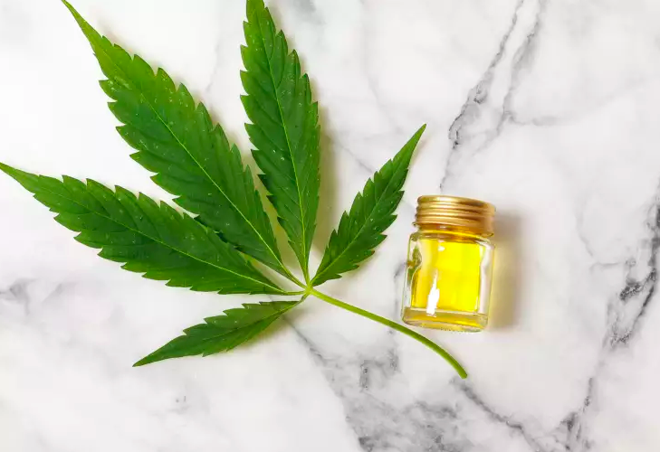 Quais os benefícios do CBD para a saúde?
