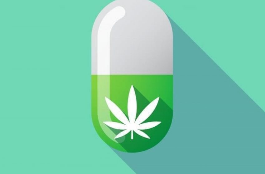  É seguro consumir cannabis com antibióticos?