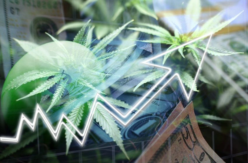  2021 pode ser o ano da legalização completa de cannabis nos Estados Unidos