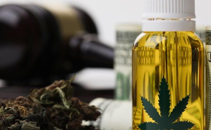  Justiças estaduais irão decidir sobre o plantio de cannabis