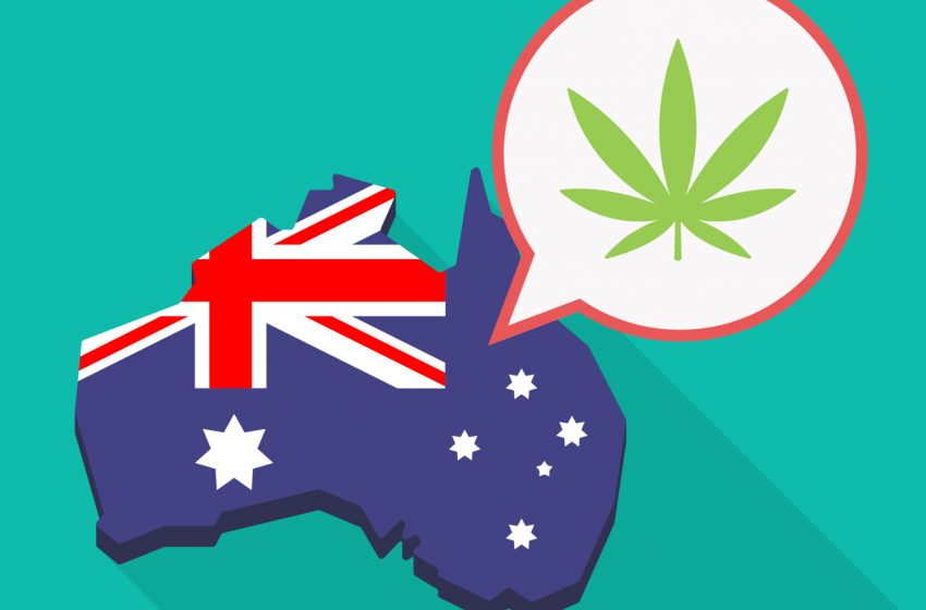 A aceitação da cannabis está crescendo na Austrália, diz estudo
