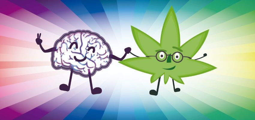  HQ ensina sobre os benefícios da cannabis medicinal