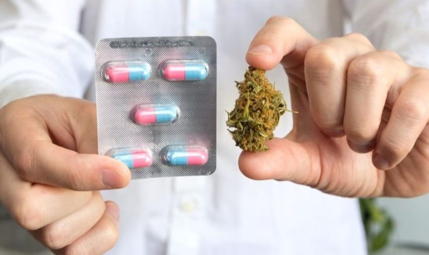  O uso da cannabis pode diminuir o consumo de opioides?