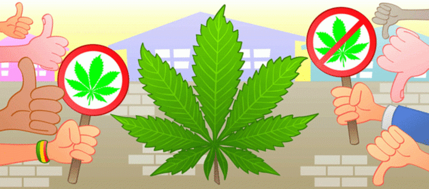  Consumidores têm opiniões positivas sobre cannabis legal nos Estados Unidos, diz estudo