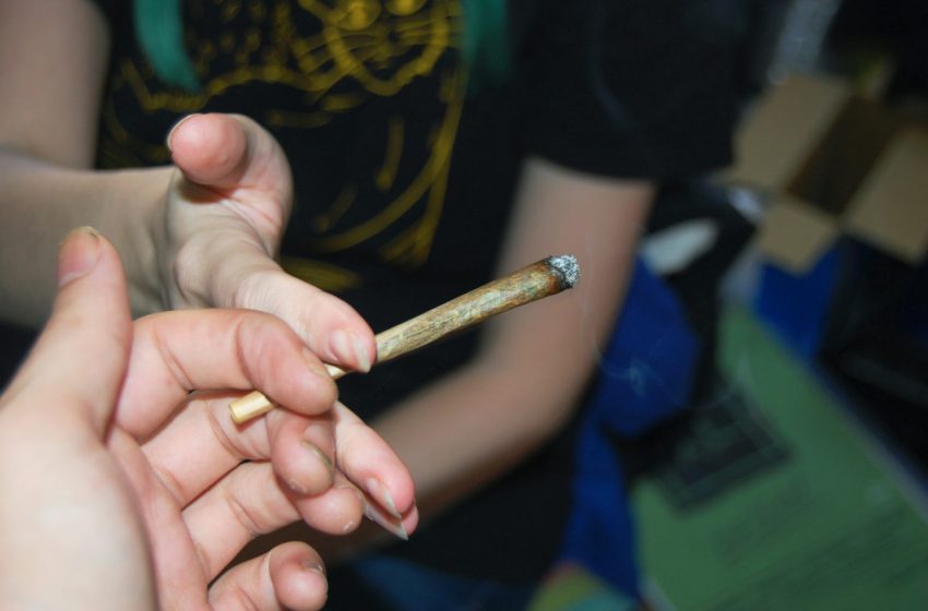  A legalização da maconha não afeta o consumo entre os jovens, diz estudo