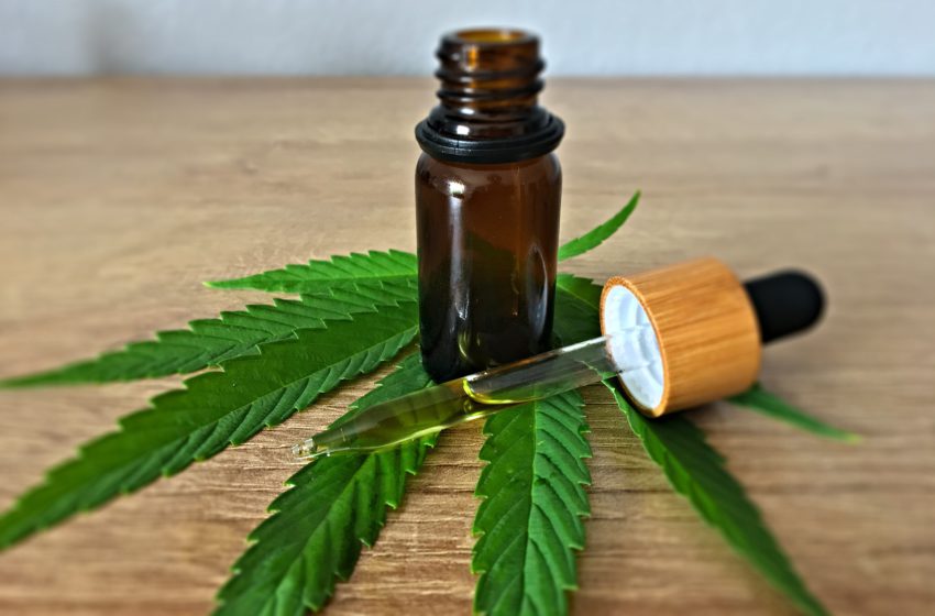 Como funciona a nova fórmula de CBD que vai deixar o produto mais barato