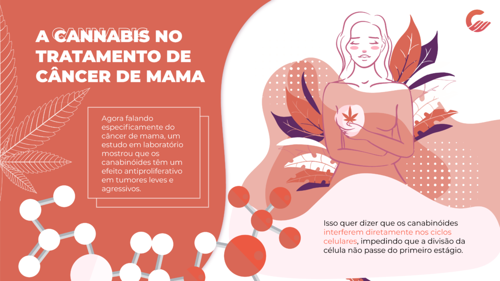 infográfico Infográfico