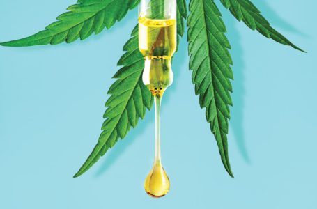 Rivotril X Cannabis: é possível substituir? Efeitos e Comparativos