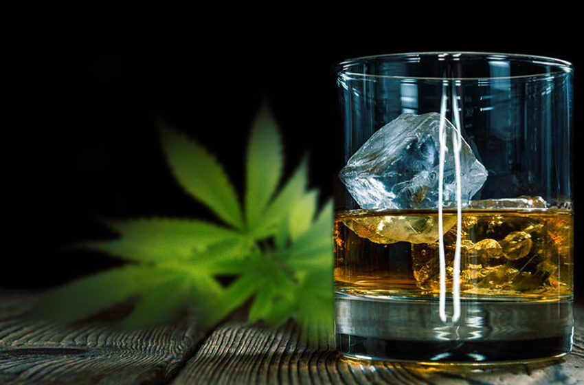 O uso da cannabis pode reduzir o uso de álcool?