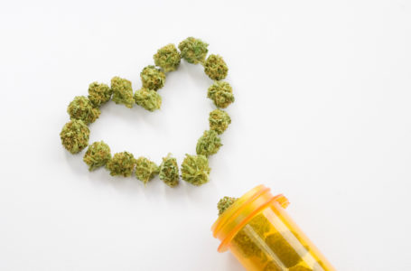 Maconha e o coração: essa combinação pode trazer problemas ou soluções?