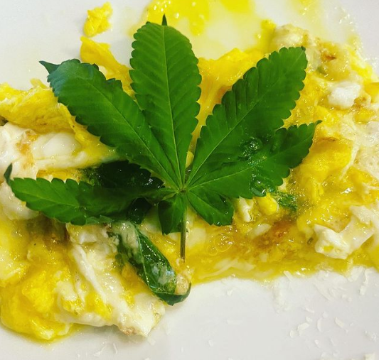 Fogaça causa polêmica ao publicar foto de omelete de cannabis