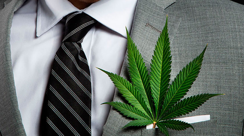 As quatro ondas de normalização da cannabis