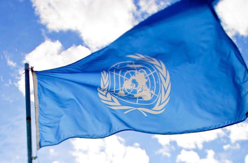 Propriedades da cannabis são finalmente reconhecidas pela ONU