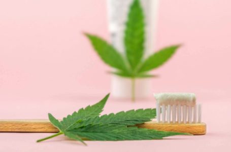 Cannabis Medicinal para tratamentos odontológicos