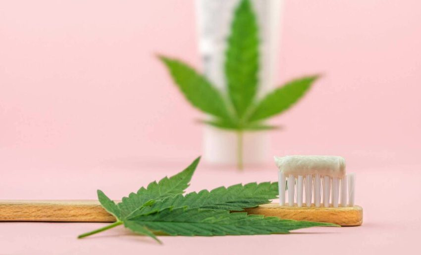  Cannabis Medicinal para  tratamentos odontológicos