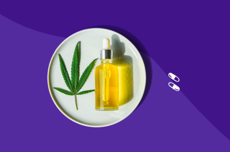 A neuroplasticidade e o canabidiol. Essa combinação dá certo?
