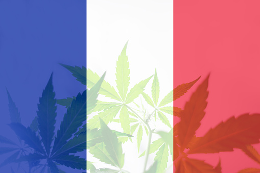 Pontos de venda de CBD se multiplicam na França