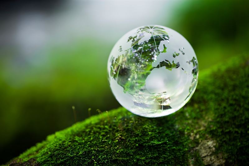 Reino Unido usa o cânhamo para ajudar na recuperação ambiental