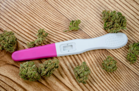 Maconha pode diminuir as chances de gravidez, segundo estudo