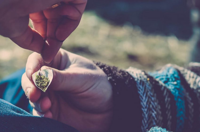Estudo contradiz a teoria de que a maconha é uma “droga de entrada” entre os consumidores