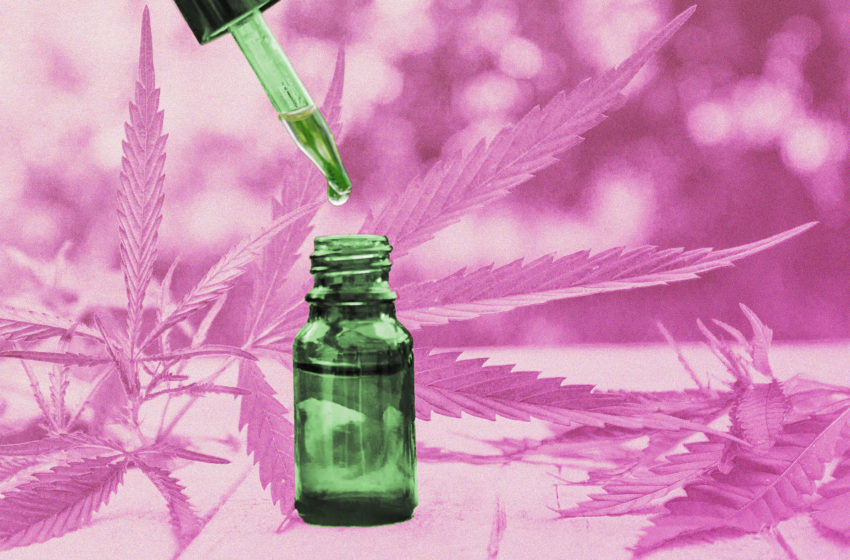 Estudo sobre o tratamento da ansiedade e insônia com cannabis está com inscrições abertas