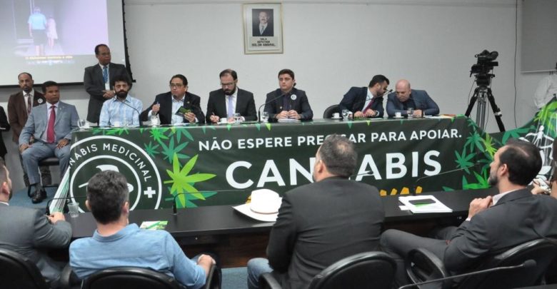  Depois de veto, cannabis medicinal volta ao debate na câmara de Goiana